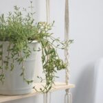 étagère décorative en corde macramé