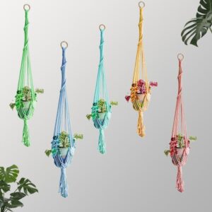 Suspension Couleur Plante Macramé