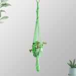 décoration murale macramé avec plante